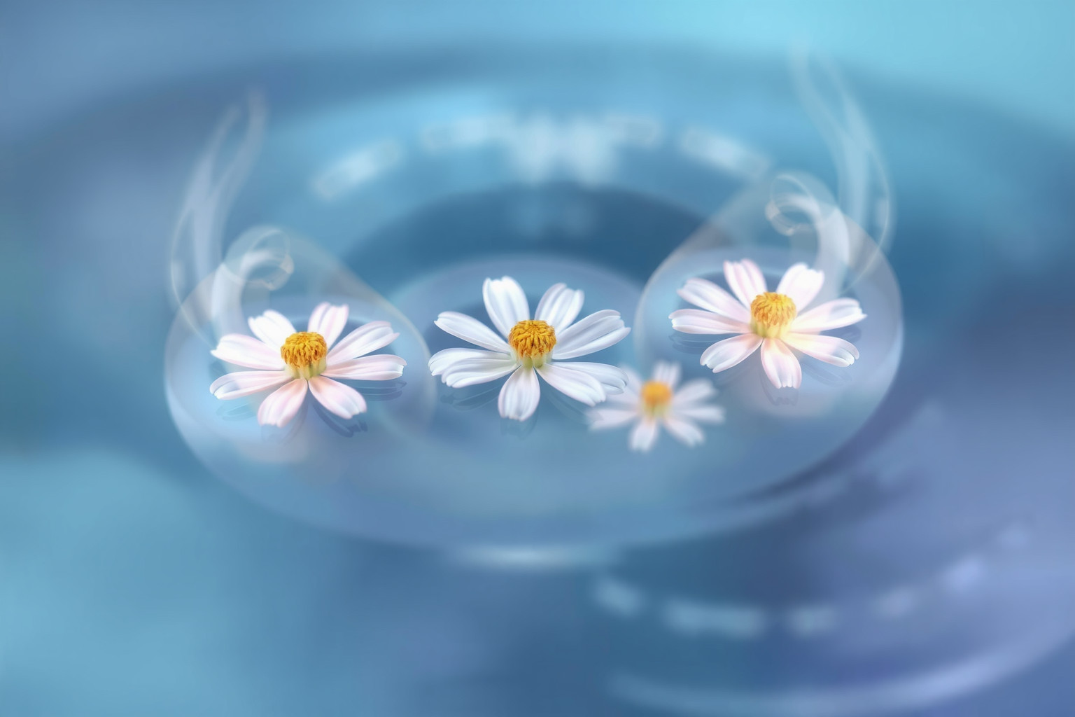 Sognare arnica e acqua simboleggia guarigione emotiva profonda e rinascita.