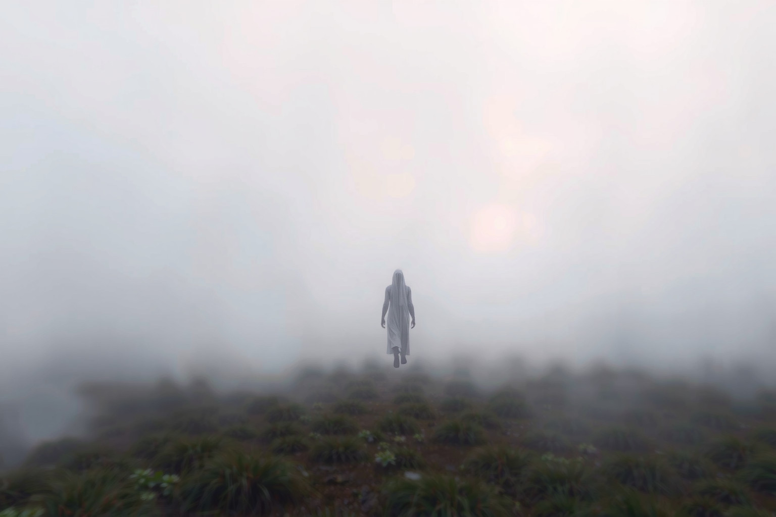 Camminare nella nebbia simboleggia incertezza e cambiamenti imminenti.
