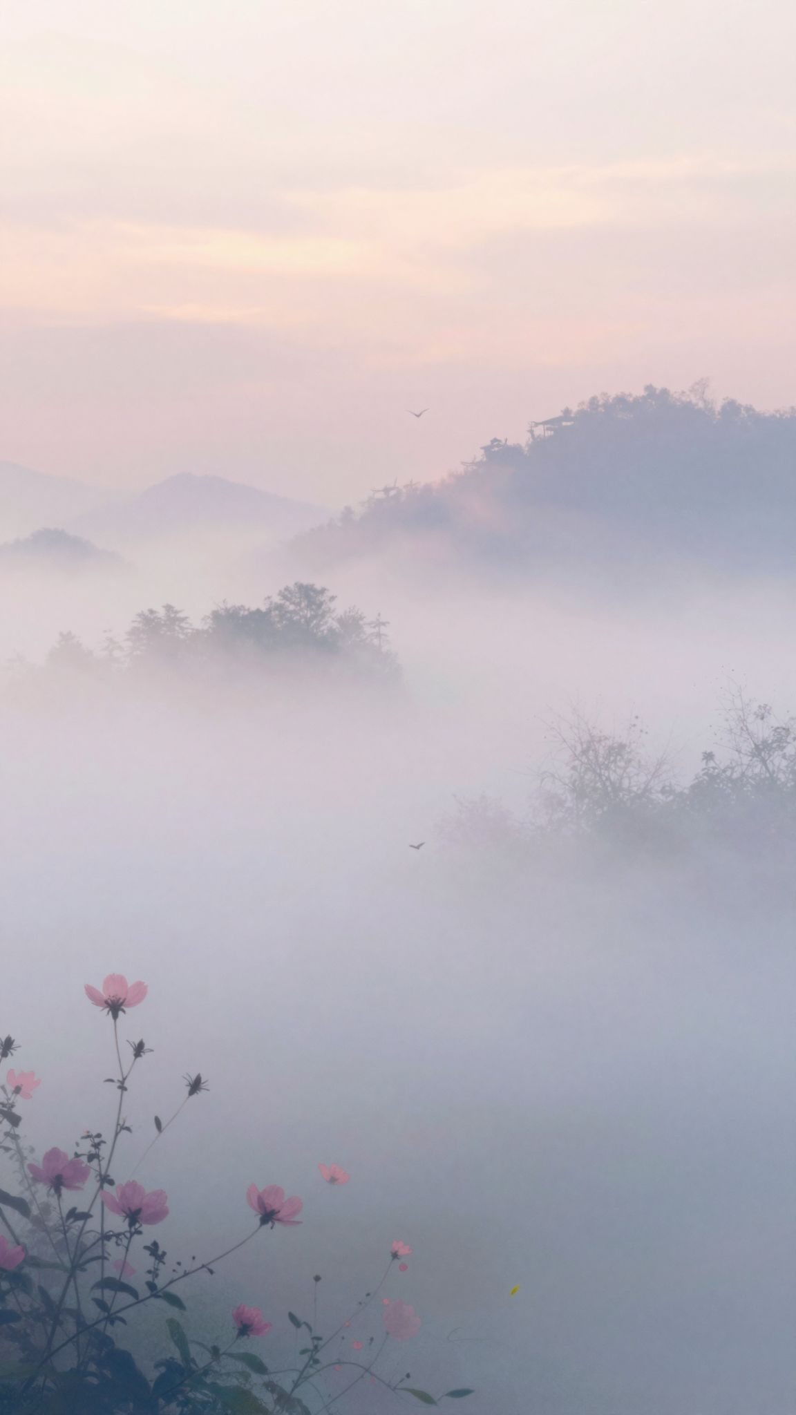 Sognare l'alba simboleggia rinascita e nuova speranza interiore.